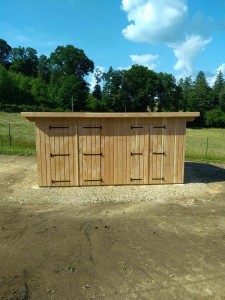 Abri de jardin 1 pan douglas