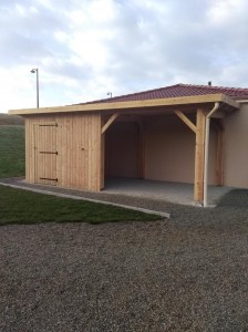 abri 1 pan (appentis + abri fermé) bois douglas