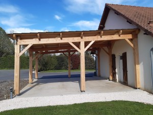 carport 1 pan à voitures 87