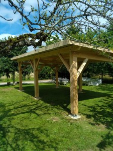 abri pergolas 1 pan en bois