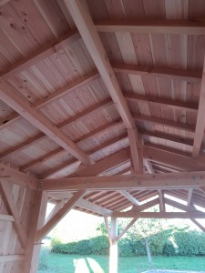 carport 2 pans bois douglas